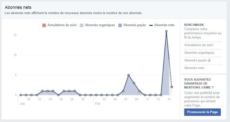 Facebook Insights : Déchiffrer les statistiques de votre page pro